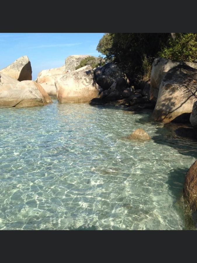 Appartement Proche Des Plus Belles Plages 포르토베쉬오 외부 사진